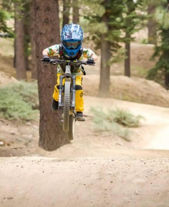 Los Osos Cozy Cabin With Private Spa And Bbq Βίλα Big Bear Lake Εξωτερικό φωτογραφία